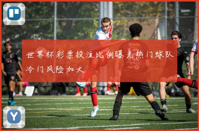 世界杯彩票投注比例曝光热门球队冷门风险加大