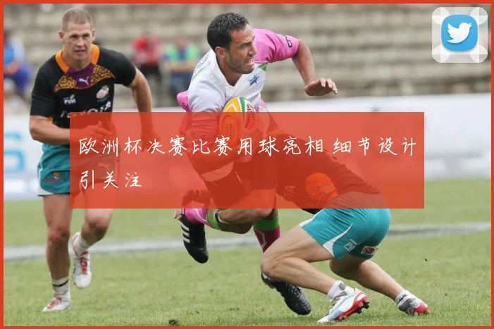 欧洲杯决赛比赛用球亮相 细节设计引关注