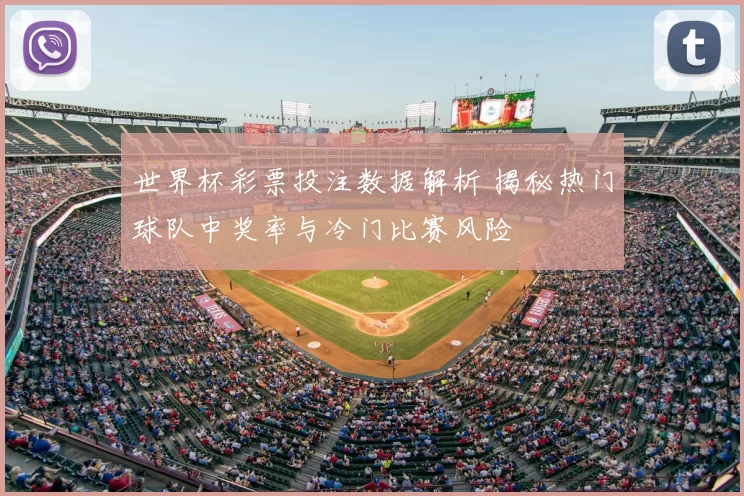 世界杯彩票投注数据解析 揭秘热门球队中奖率与冷门比赛风险