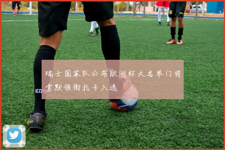 瑞士国家队公布欧洲杯大名单门将索默领衔扎卡入选