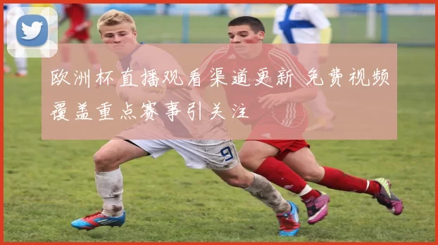 欧洲杯直播观看渠道更新 免费视频覆盖重点赛事引关注